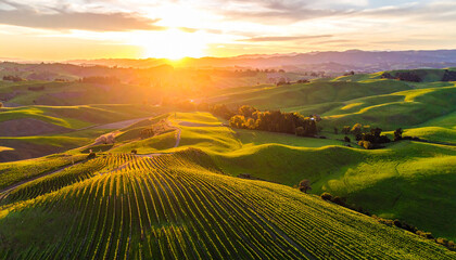 Serene sunset over rolling hills, golden light illuminating lush green pastures and distant trees Perfect for travel, nature, or agriculture themes , sunset, pasture