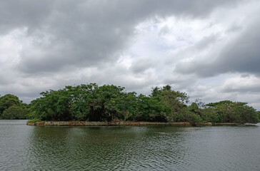  A Picturesque landscape with trees in the river and the moody clouds during monsoon season in western ghats of Karnataka, India.