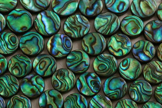 Crafting jewelry with mother-of-pearl from marine mollusks