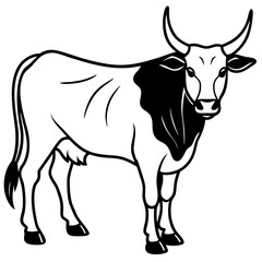 Zebu Silhouette Vector Drawing