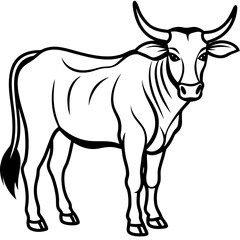 Zebu Silhouette Vector Drawing