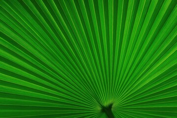 Obraz premium Close-up of lush green palm leaf with intricate texture