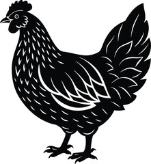 Side view silhouette of a domestic hen a farm animal illustration