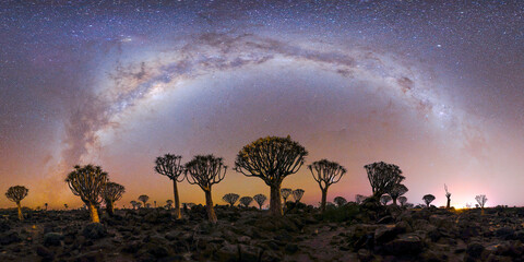 K&ouml;cherb&auml;ume Landschaft Keetmanshoop Milchstrasse
Nacht himmel