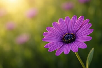 Obraz premium Stunning close-up of a vibrant purple blossom in nature