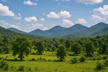 Obraz premium Scenic panorama of a region in India showcasing natural beauty