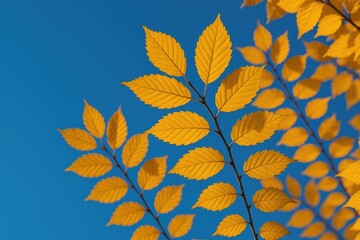 Naklejka premium Vibrant fall foliage with golden leaves set against a clear blue sky