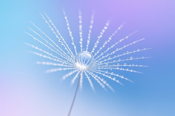 Close-up of dew-covered dandelion seed with pastel blue and violet hues, featuring soft lighting and a blurred background for ample space