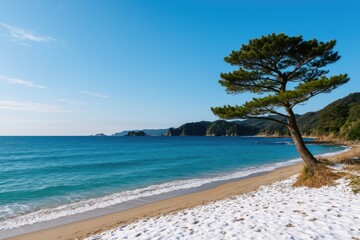 Stunning Scenery in Izu Region