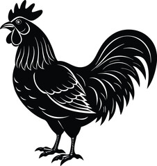 Proud rooster silhouette farm animal illustration with vibrant colors