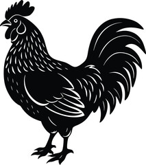 Isolated silhouette of a rooster standing proudly on a white background