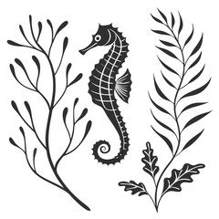 Ocean Plant Vector Seaweed Collection
