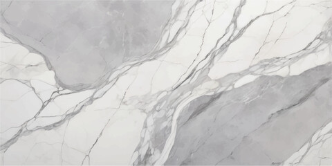 Elegant gray and white marble texture with veining isolated on white background