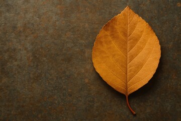 Surface look and feel of the material