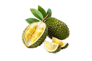 Fresh Durian fruit With leaves