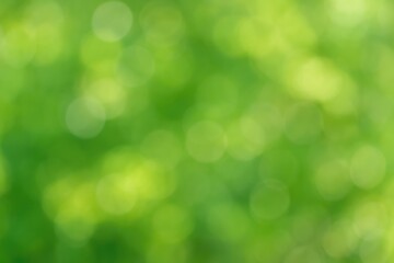 Obraz premium Abstract green bokeh with blurred light effects in a stunning background