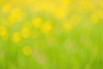 Obraz premium Abstract vibrant backdrop featuring a soft, colorful blur with floral yellow bokeh effects