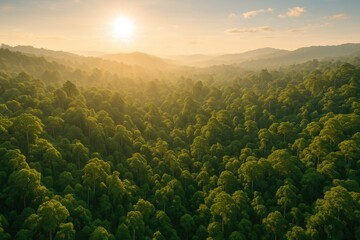 Obraz premium Bird's-eye perspective of lush tropical jungle bathed in morning sunlight with sun flare
