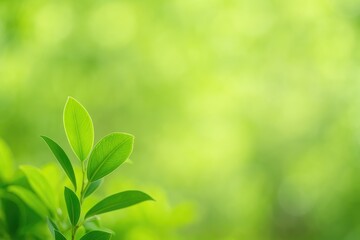 Obraz premium Detailed close-up of a vibrant green leaf against a softly blurred leafy backdrop with empty space for text