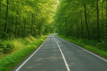 Fototapeta premium Scenic countryside path winding through woodland