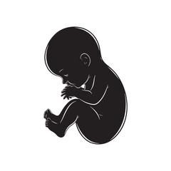 Black silhouette of a sleeping baby fetus curled up white