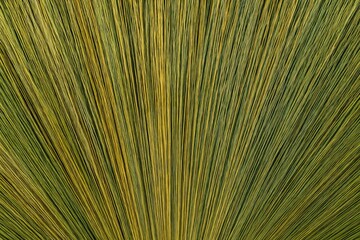 Detailed View of Grass Broom with Bamboo Texture