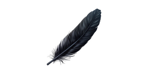 Black Feather. Symbol Of Elegance, Freedom, And Creativity Isolated On Transparent Background