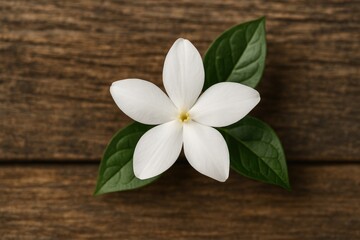 Fototapeta premium Detailed shot of a white jasmine blossom against a wooden surface
