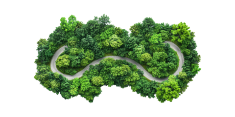 Winding Road Through Lush Green Forest. Nature And Travel Concept Isolated On Transparent Background