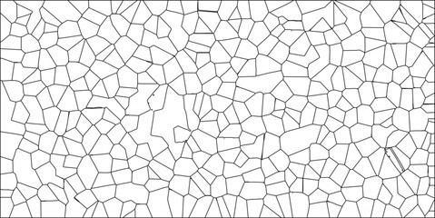 Abstract cellular pattern illustration depicting geometric cell structure in black and white on a white background