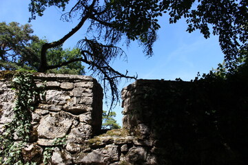 Fototapete bei efototapeten.de bestellen   