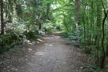 Sentier dans la combe de Fixin (Côte-d'Or)