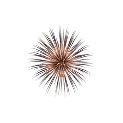 Obraz premium A single burst of fiery orange and brown fireworks isolated on transparent background