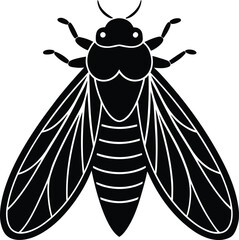 cicada on white background.eps