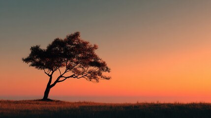 Serene Tree Silhouette Against Tranquil Sunset Sky Background