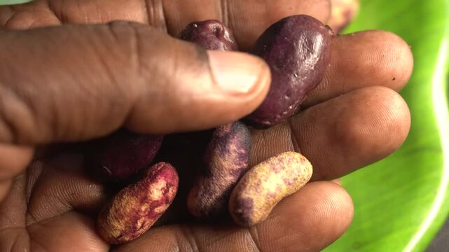 Blackberries are juicy, dark berries packed with antioxidants and tiny seeds, offering rich flavor, health benefits, and natural sweetness