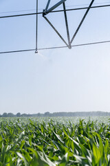 Agricultural pivot irrigation system on a corn field