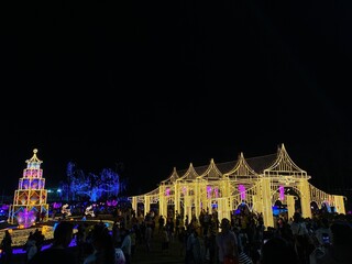 Christmas lights in the park
