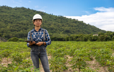 Woman in Hard Hat Examines Crops in Green Field