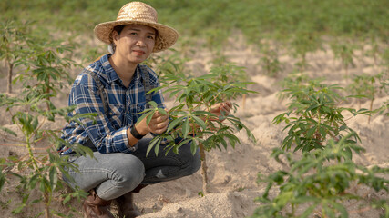 Woman Tending to Cassava Plants in a Sunny Field