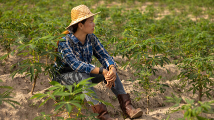 Woman Resting in a Cassava Field