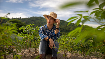 Young Farmer Resting in Cassava Field at Sunset