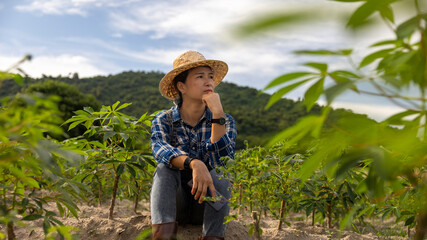 Woman Reflecting in a Cassava Field at Midday