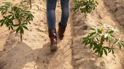 Walking Through a Crop Field in Casual Boots