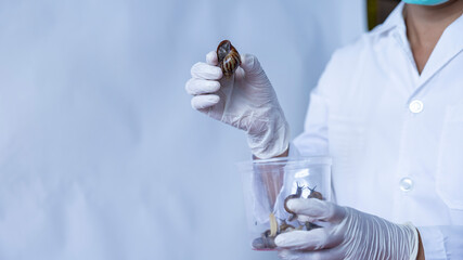 Marine Specimen Lab Expert