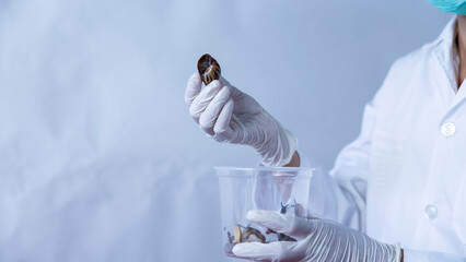 Researcher Studies Marine Specimen Lab