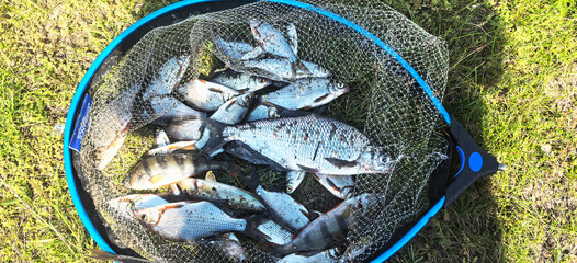 the cathc of a fisherman on a fishing trip