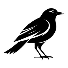 Stylized black and white image of a songbird perched on its feet