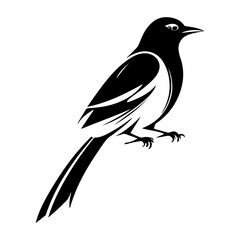 Stylized Black and White Magpie Illustration with Detailed Feather and Claw Design