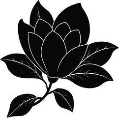 magnolia on white background.eps